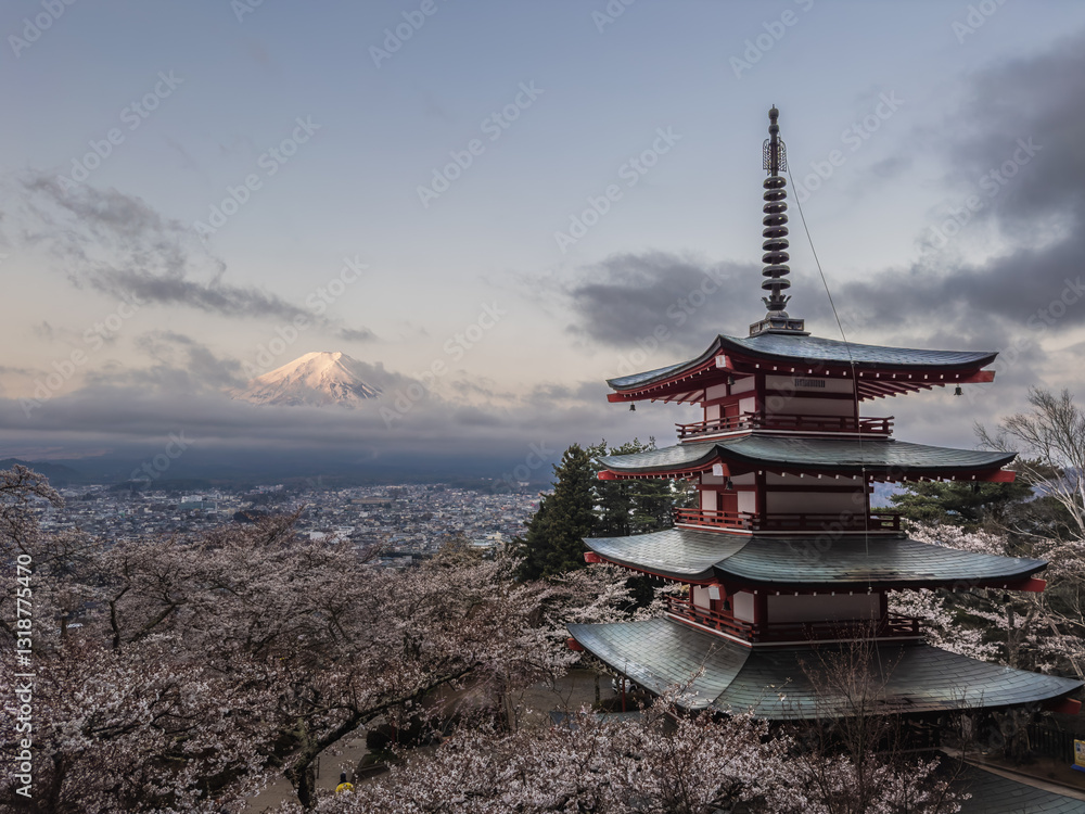 Chureito Pagoda with Mount Fuji and Cherry Blossoms