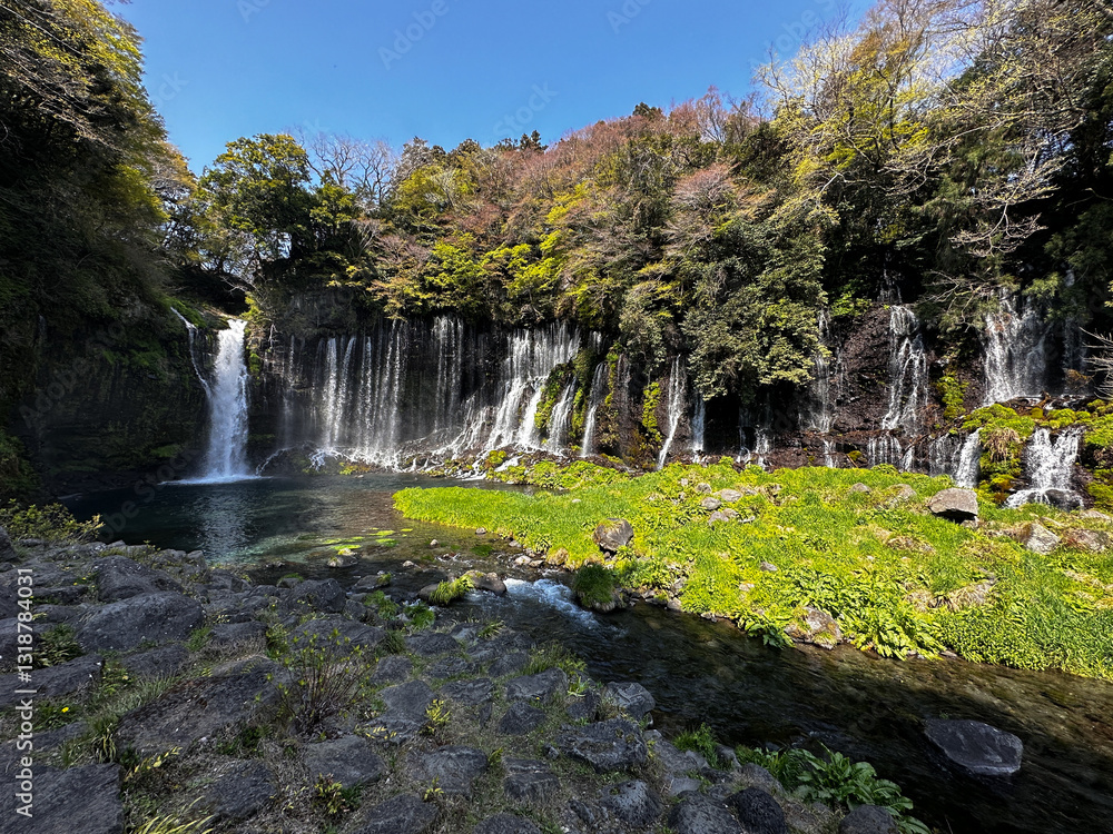 Shiraito Falls in a Spring