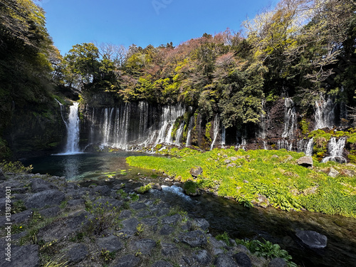 Shiraito Falls in a Spring