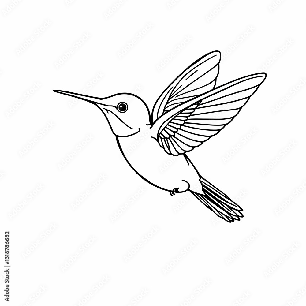 Obraz premium Hummingbird in Flight Detailed Line Drawing Black and White Sketch Graceful Wings Long Beak Minimalist Nature Illustration