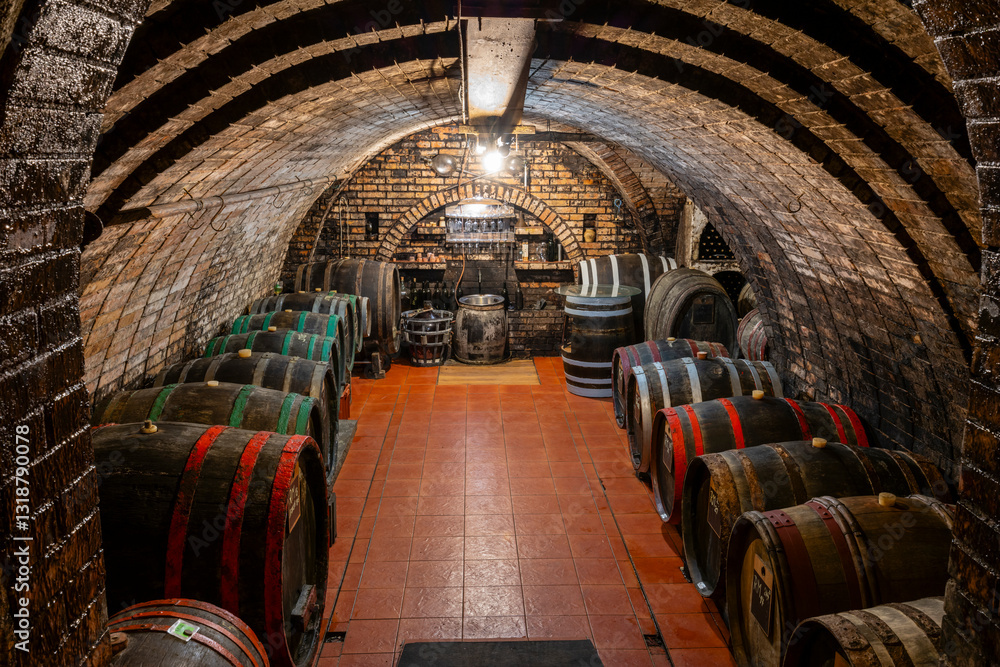 Wine cellars with barrels in Ivan, Southern Moravia, Czech Republic