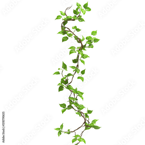 Green leafy vine garland with delicate foliage spirals downward for decorative spring marketing isolation on a transparent background.
