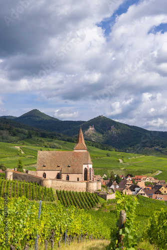 Obraz na płótnie Typical vineyard near Hunawihr near Ribeauville Riquewihr, Haut-Rhin, Region Grand Est, Alsace, France w salonie