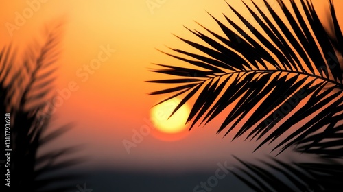 Fototapeta Naklejka Na Ścianę i Meble -  A beautiful sunset view from behind palm tree leaves is seen
