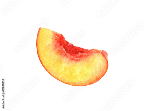 Hand-Painted Watercolor Nectarine Slice Botanical Illustration Isolated on White
