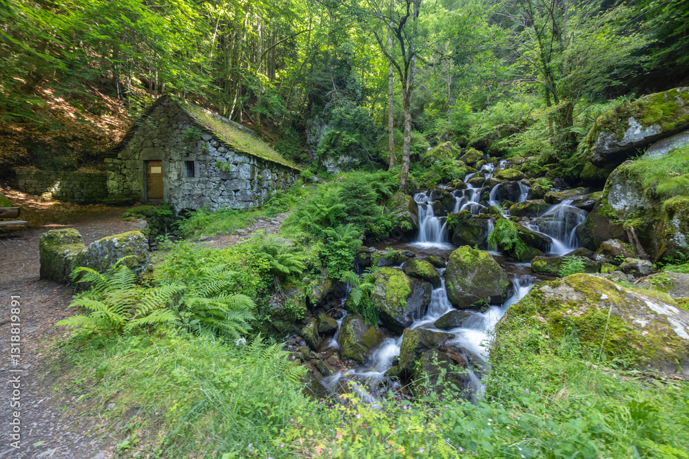 Water wheel mill (Moulin de Chambeuil) with waterfalls, Laveissiere, Cantal, Auvergne-Rhone-Alpes, France