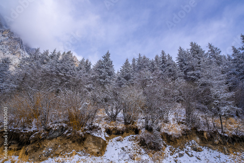 Bipenggou National Park in Sichuan China, is a natural reserve blessed with typical alpine views, including virgin forest, plateau lakes, glaciers, snow mountains, tinkling streams and waterfalls photo