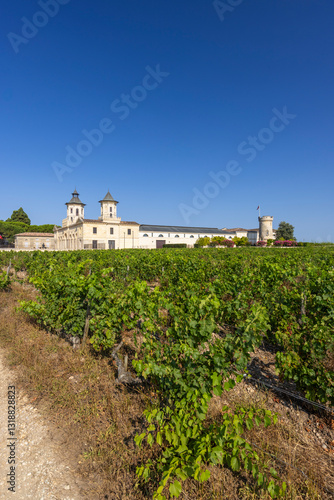 Vineyards with Chateau Cos d'Estournel, Bordeaux, Aquitaine, France