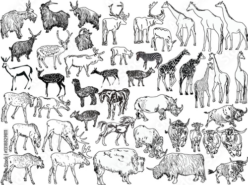 fourty four hoofed mammals collection isolated on white