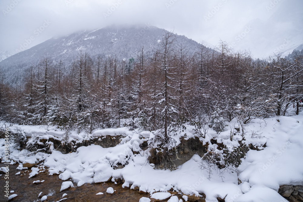 Bipenggou National Park in Sichuan China, is a natural reserve blessed with typical alpine views, including virgin forest, plateau lakes, glaciers, snow mountains, tinkling streams and waterfalls