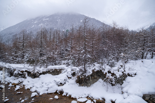 Obraz na płótnie Bipenggou National Park in Sichuan China, is a natural reserve blessed with typical alpine views, including virgin forest, plateau lakes, glaciers, snow mountains, tinkling streams and waterfalls w salonie
