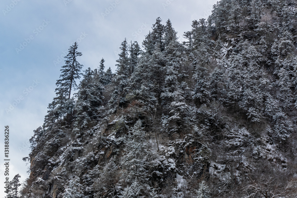 Bipenggou National Park in Sichuan China, is a natural reserve blessed with typical alpine views, including virgin forest, plateau lakes, glaciers, snow mountains, tinkling streams and waterfalls