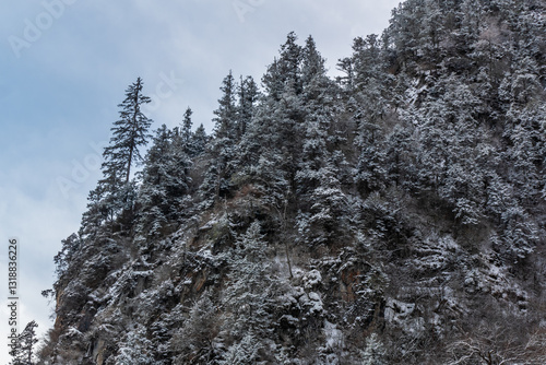 Obraz na płótnie Bipenggou National Park in Sichuan China, is a natural reserve blessed with typical alpine views, including virgin forest, plateau lakes, glaciers, snow mountains, tinkling streams and waterfalls w salonie