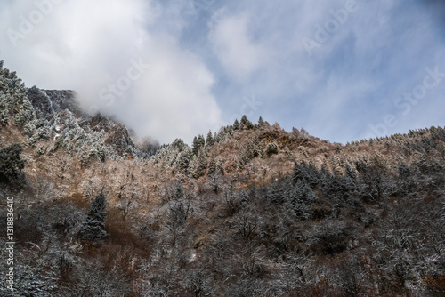 Obraz na płótnie Bipenggou National Park in Sichuan China, is a natural reserve blessed with typical alpine views, including virgin forest, plateau lakes, glaciers, snow mountains, tinkling streams and waterfalls w salonie
