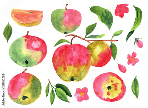 Apples set. Watercolor harvest apple with leaf isolated on white background, fresh fruit. apple tree branch illustration