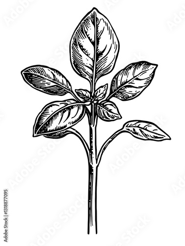 Elegant botanical illustration showcasing a thriving green plant with lush leaves elegantly crafted in vector format
