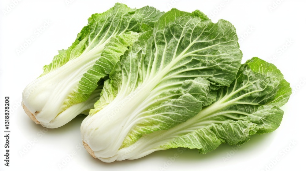 Fresh chinese cabbage with crisp green leaves isolated on a clean background, showcasing a nutritious high-fiber vegetable rich in vitamins for healthy daily cooking, plant-based diets, and organic fo Fresh chinese cabbage with crisp green leaves isolated on a clean background, showcasing a nutritious high-fiber vegetable rich in vitamins for healthy daily cooking, plant-based diets, and organic fo