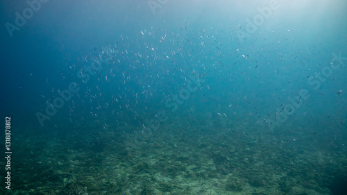 underwater scene with underwater bubbles