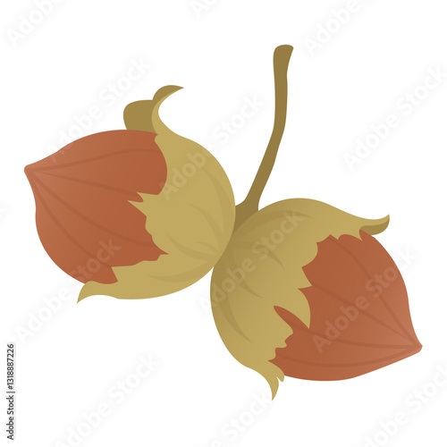 Ripe hazelnuts isolated, flat style