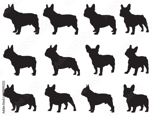 FRENCH BULLDOG SILHOUETTE WHITE BACKGROUND