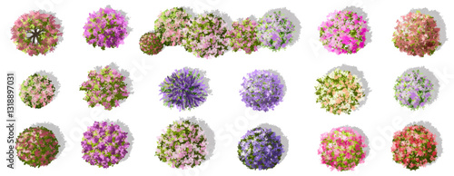 Vector watercolor of blooming tree top view isolated on white background for landscape plan and architecture drawing, elements for environment and garden,botanical elements ,blooming flower in spring