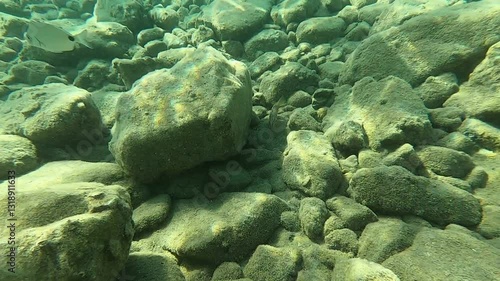 Underwater scene, sun rays and rocks in Fethiye, Mugla, Turkey