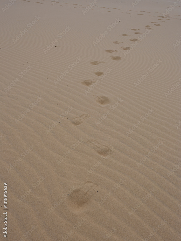 Footprint and ripple pattern on the sand. Footprint and ripple pattern on the sand.