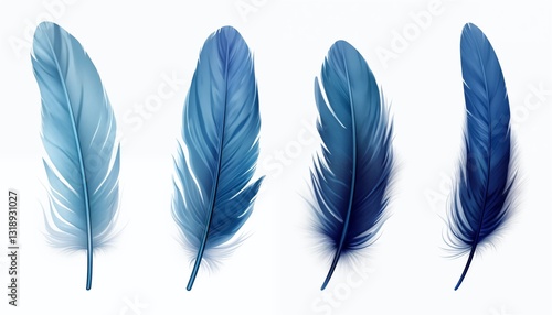 blue orange gold green purple pink brown silver feather isolated on white