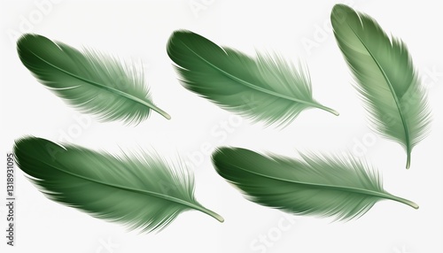 blue orange gold green purple pink brown silver feather isolated on white