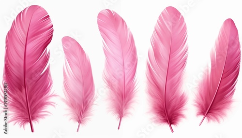 blue orange gold green purple pink brown silver feather isolated on white