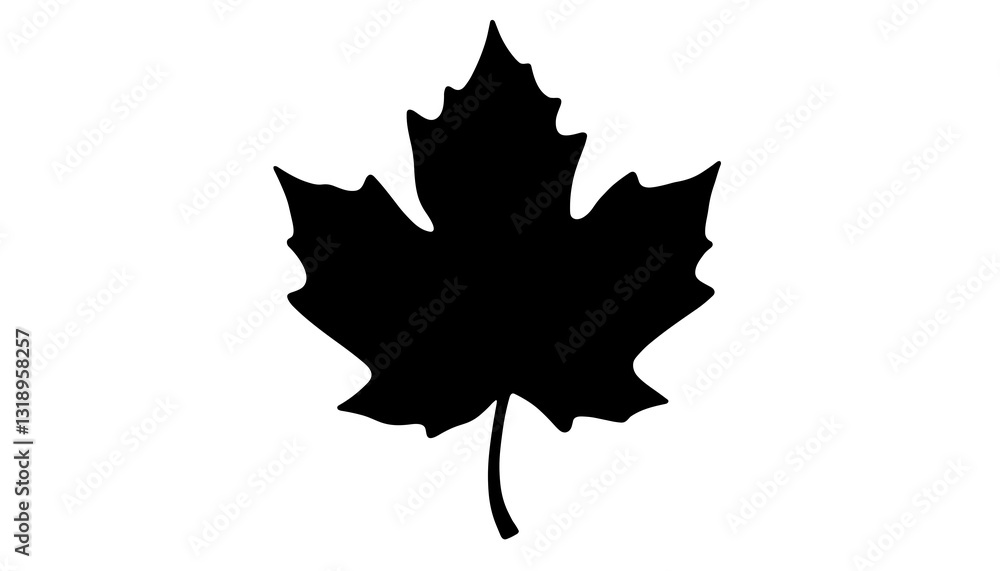 Fototapeta premium Silhouette of a maple leaf on a white background