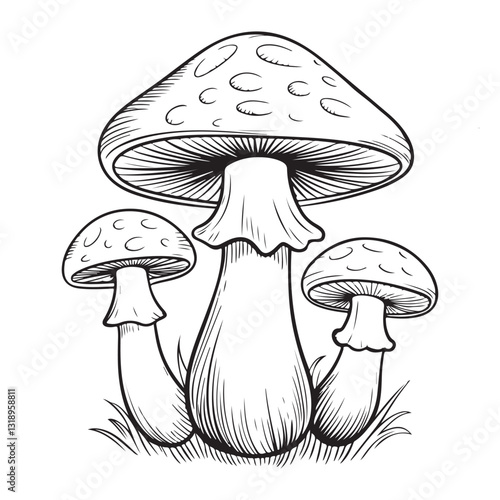 Vector illustration of mushrooms in a forest with autumn leaves and grass featuring a poisonous toadstool and amanita fungi