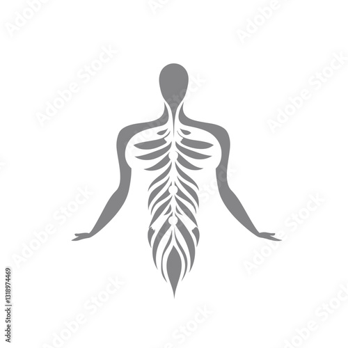 Spine Illustration for Chiropractors and Massage Therapists in Gray Tones
