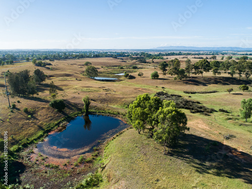 clump of trees in paddock beside dam