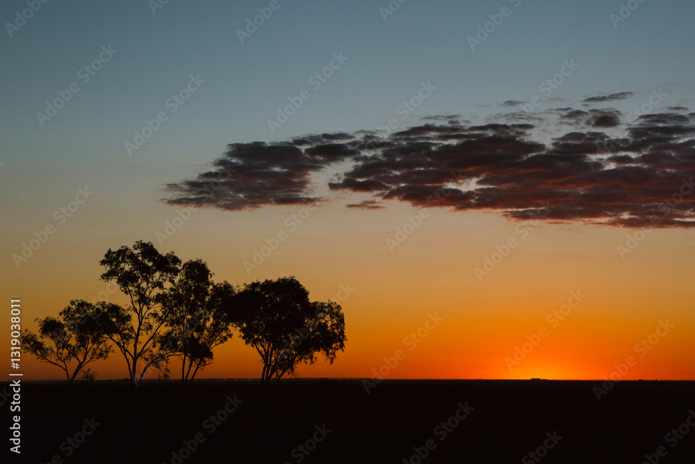 Sunset over Eucalyptus trees and a typical beautiful rural Australian landscape Sunset over Eucalyptus trees and a typical beautiful rural Australian landscape