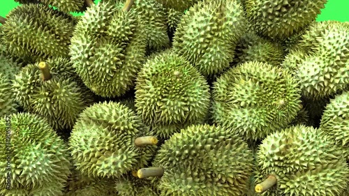 Durian Fruits Fall Transition