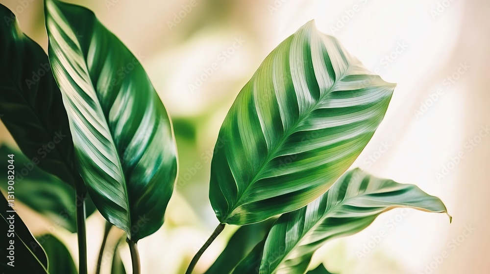 Obraz premium Vibrant Close-up of Large Green Leaves and Tropical Plants, Exotic Foliage in a Lush Tropical Background, Photorealistic and Rich in Color
