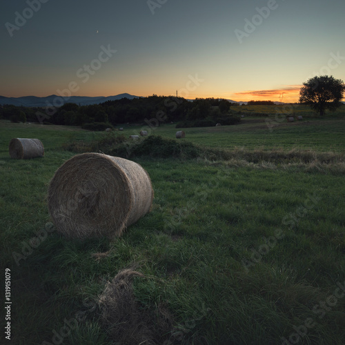 Bottes de foin au crépuscule