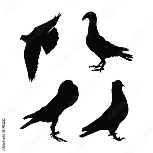 Set of pigeons black silhouettes illustration on white background Vol 03