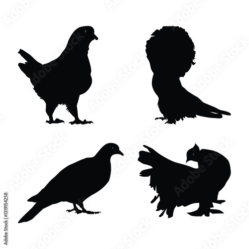 Set of pigeons black silhouettes illustration on white background Vol 02