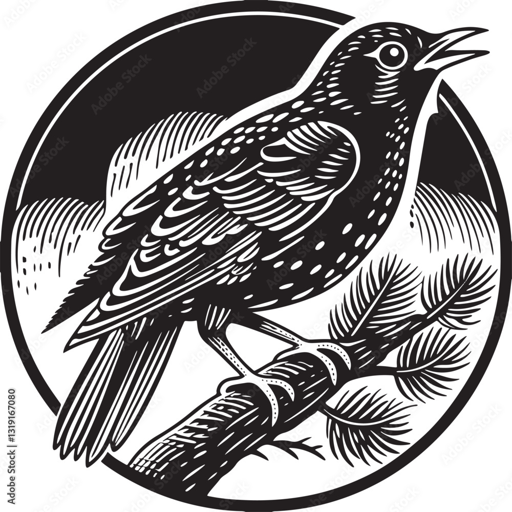 Fototapeta premium common nightingale bird silhouette printable design