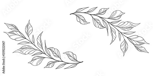 black and white outline sketch of a leaf