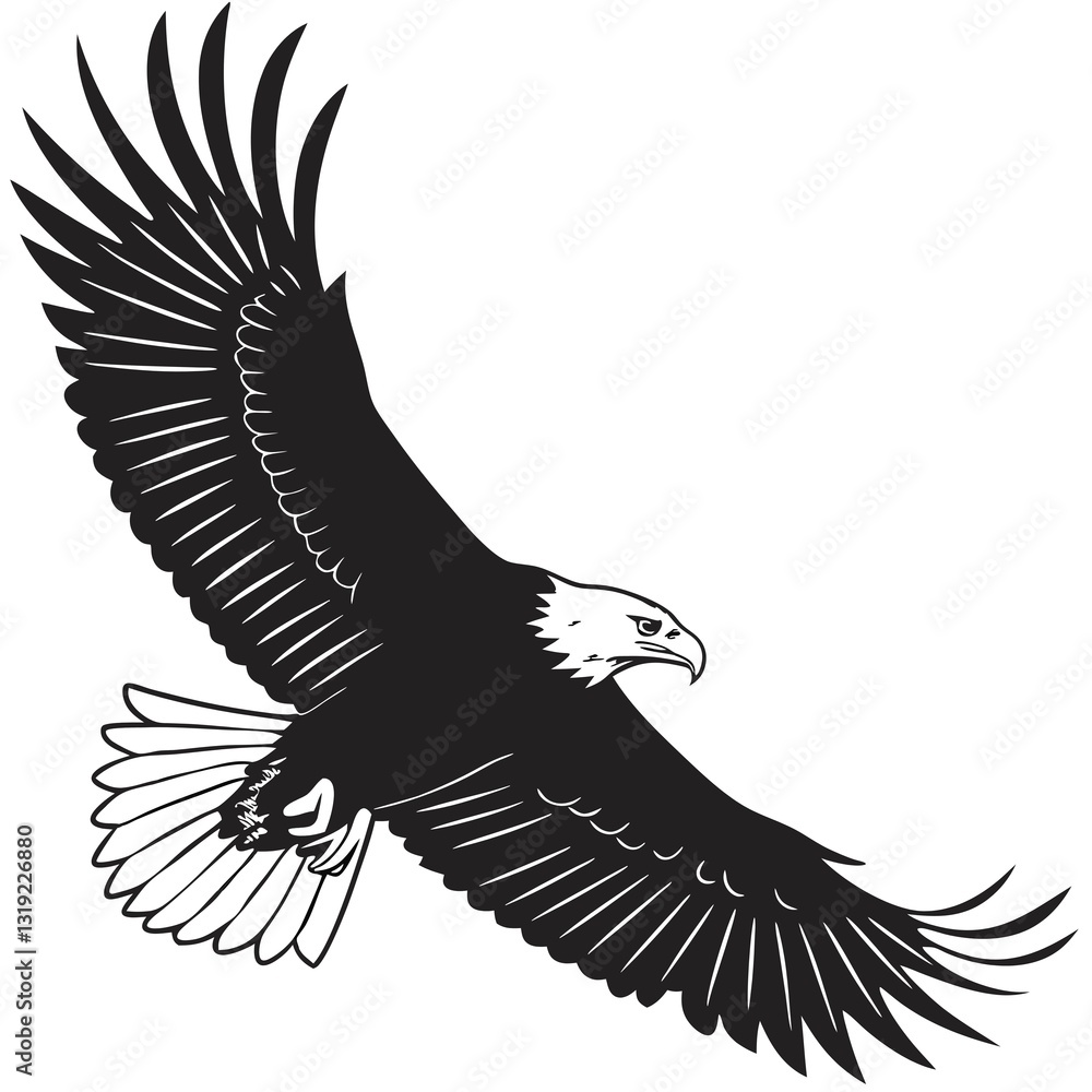Obraz premium eagle vector illustration