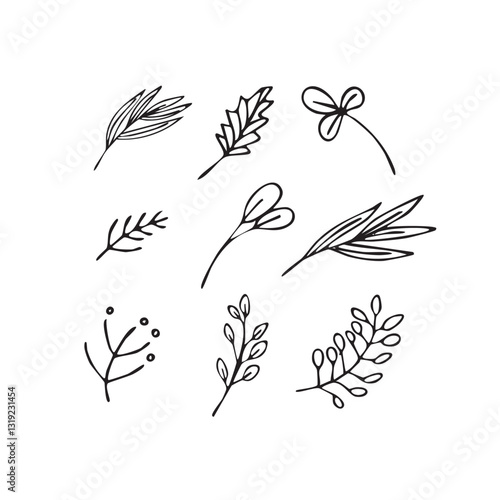 Vector illustration plants and flowers in doodle technique
