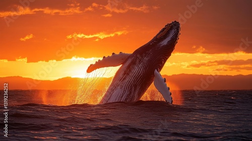 A dramatic wide-angle shot of a humpback whale breaching against the backdrop of a fiery sunset.