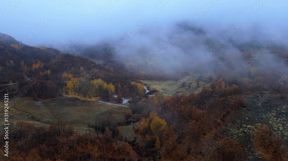 Aerial view Misty Autumn Landscape with Golden Trees and Valleys Aerial view Misty Autumn Landscape with Golden Trees and Valleys