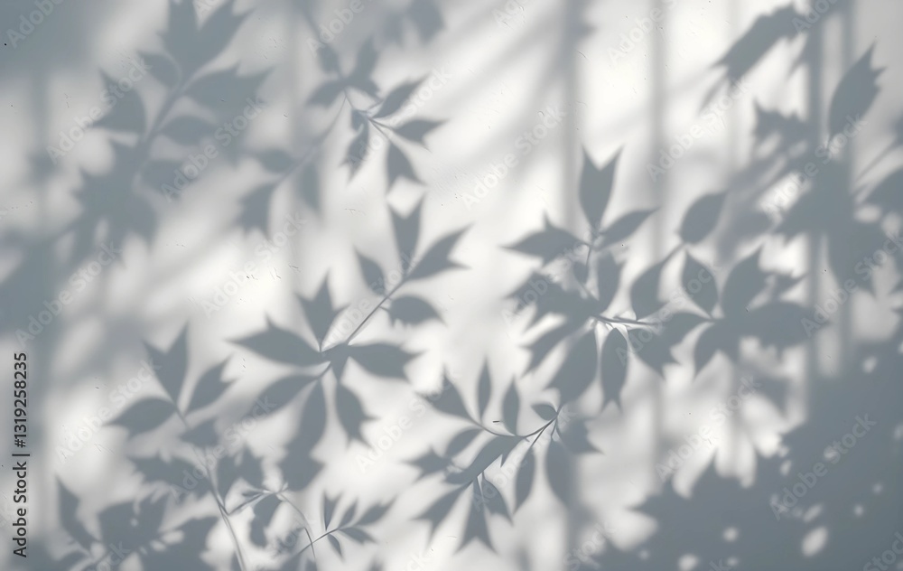 Sunlight casting leaf-shaped shadows on a white wall, leaves shadow on white wall, Sunlight casting leaf-shaped shadows on a white wall, leaves shadow on white wall,
