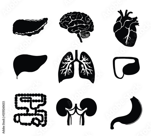 set of human organ vector icons