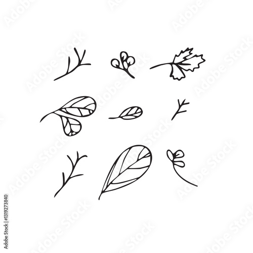Vector illustration plants and flowers in doodle technique