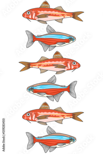Colorful pattern sea fish. beautiful orange decorated animal life. Anatomy of marine fish